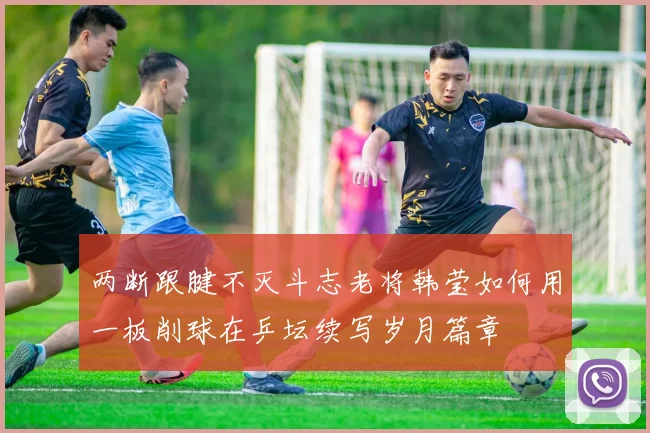 两断跟腱不灭斗志老将韩莹如何用一板削球在乒坛续写岁月篇章