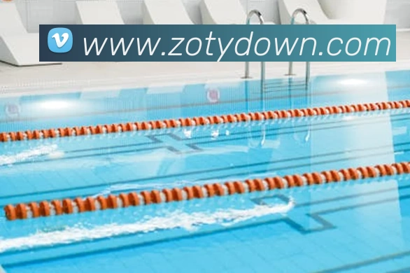 中欧体育发展历程