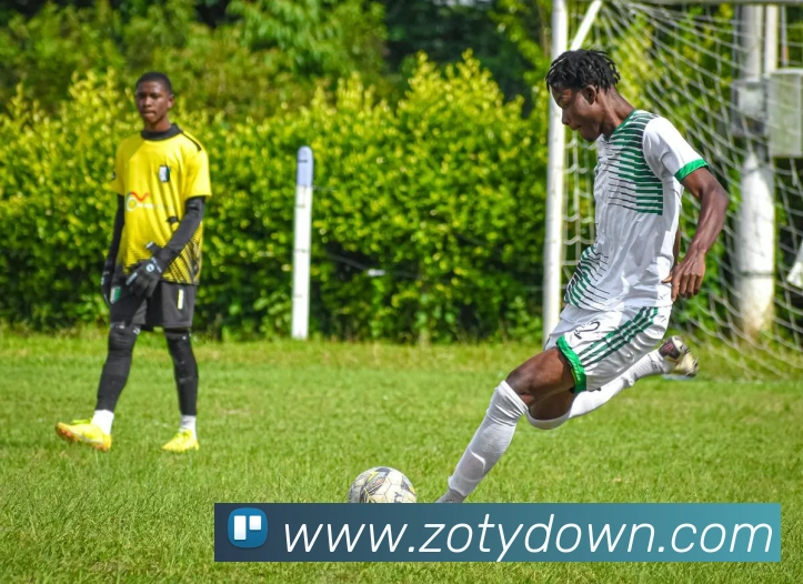 App Interface Preview