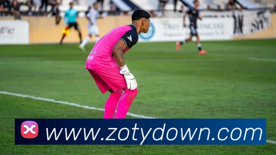 中欧体育APP 封面图